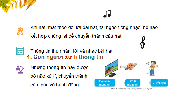 Giáo án điện tử Tin học lớp 3 Kết nối tri thức Bài 2: Xử lí thông tin | PPT Tin học lớp 3