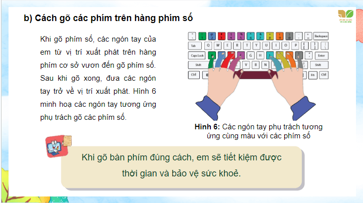 Giáo án điện tử Tin học lớp 4 Kết nối tri thức Bài 2: Gõ bàn phím đúng cách | PPT Tin học 4