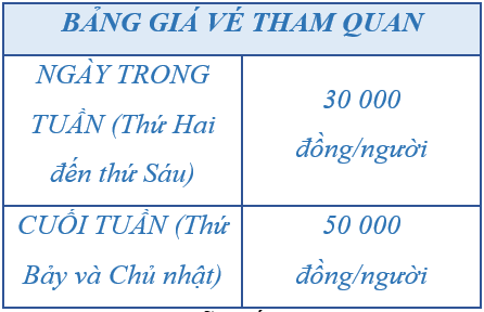 Giáo án Tin học lớp 5 Chân trời sáng tạo Bài 10: Cấu trúc rẽ nhánh