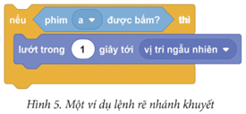Giáo án Tin học lớp 5 Cánh diều Bài 12: Cấu trúc rẽ nhánh