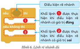 Giáo án Tin học lớp 5 Cánh diều Bài 12: Cấu trúc rẽ nhánh