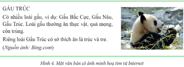 Giáo án Tin học lớp 5 Bài 3: Thực hành chèn ảnh vào văn bản | Cánh diều