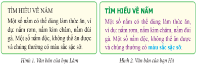 Giáo án Tin học lớp 5 Bài 4: Định dạng kí tự | Cánh diều