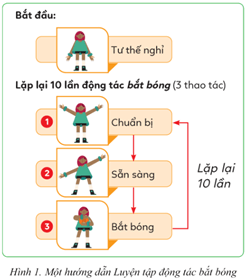 Giáo án Tin học lớp 5 Cánh diều Bài 6: Cấu trúc lặp với số lần biết trước
