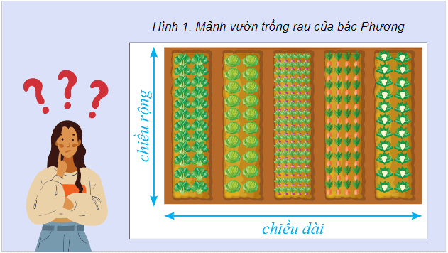 Giáo án điện tử Tin học lớp 5 Cánh diều Bài 1: Thu thập và tìm kiếm thông tin trong giải quyết vấn đề | PPT Tin học 5