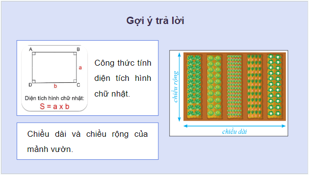 Giáo án điện tử Tin học lớp 5 Cánh diều Bài 1: Thu thập và tìm kiếm thông tin trong giải quyết vấn đề | PPT Tin học 5