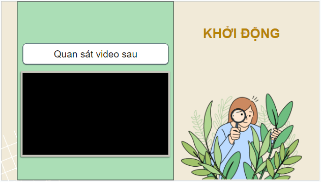 Giáo án điện tử Tin học lớp 5 Cánh diều Bài 2: Hợp tác, tìm kiếm và chia sẻ thông tin | PPT Tin học 5