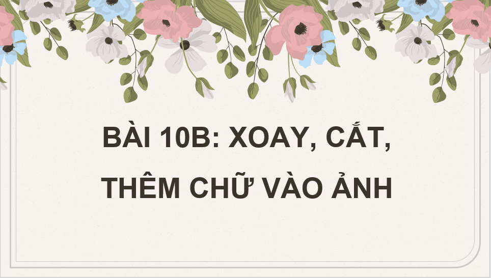 Giáo án điện tử Tin 8 Chân trời sáng tạo Bài 10B: Xoay, cắt, thêm chữ vào ảnh | PPT Tin học 8