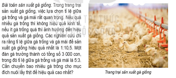 Giáo án Chuyên đề Toán 10 Kết nối tri thức Bài 2: Ứng dụng hệ phương trình bậc nhất ba ẩn