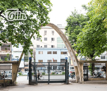 Giáo án Chuyên đề Toán 10 Kết nối tri thức Bài 7: Parabol