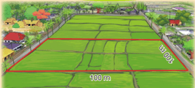 Giáo án Toán lớp 5 Bài 21: Héc-ta | Cánh diều