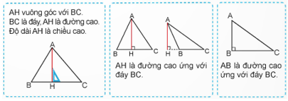 Giáo án Toán lớp 5 Bài 25: Hình tam giác. Diện tích hình tam giác | Kết nối tri thức (ảnh 3)