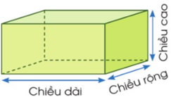 Giáo án Toán lớp 5 Bài 58: Hình hộp chữ nhật. Hình lập phương. Hình trụ | Cánh diều