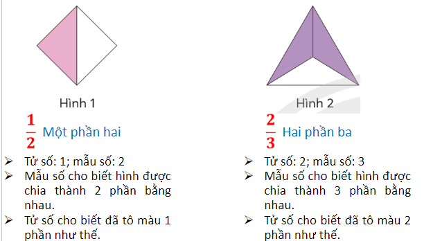 Giáo án điện tử Toán lớp 5 Bài 2: Ôn tập phân số | PPT Toán lớp 5 Chân trời sáng tạo