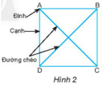 Giáo án Toán 6 Chân trời sáng tạo Bài 1: Hình vuông - Tam giác đều - Lục giác đều