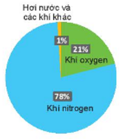 Giáo án Toán 6 Kết nối tri thức Bài 31: Một số bài toán về tỉ số và tỉ số phần trăm