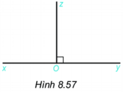 Giáo án Toán 6 Kết nối tri thức Bài tập ôn cuối Chương 8