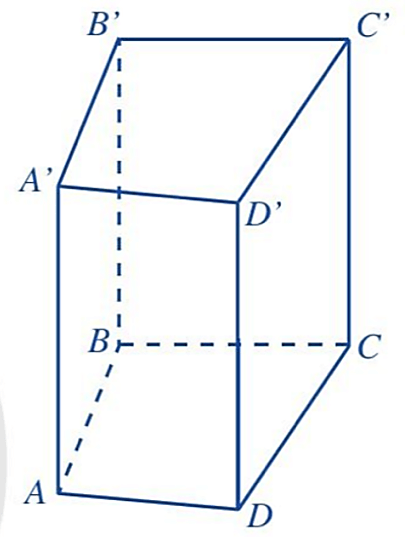 Giáo án Toán 7 Chân trời sáng tạo Bài 4: Diện tích xung quanh và thể tích của hình lăng trụ đứng tam giác, lăng trụ đứng tứ giác