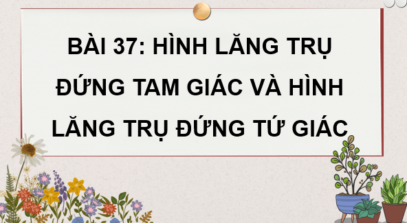 Giáo án điện tử Toán 7 Bài 37: Hình lăng trụ đứng tam giác và hình lăng trụ đứng tứ giác | PPT Toán 7 Kết nối tri thức