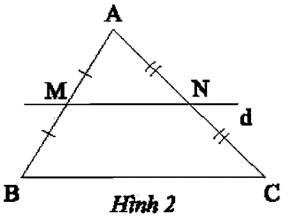 Giáo án Toán 8 Chân trời sáng tạo Bài 2: Đường trung bình của tam giác