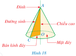 Giáo án Toán 9 Cánh diều Bài 2: Hình nón