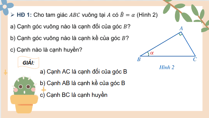 Giáo án điện tử Toán 9 Cánh diều Bài 1: Tỉ số lượng giác của góc nhọn | PPT Toán 9