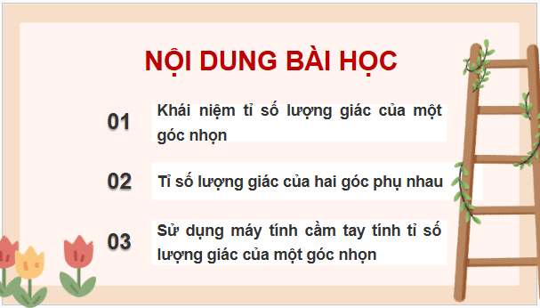 Giáo án điện tử Toán 9 Kết nối Bài 11: Tỉ số lượng giác của góc nhọn | PPT Toán 9 Kết nối tri thức