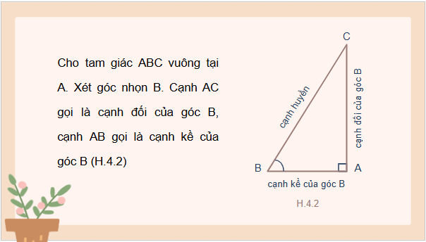 Giáo án điện tử Toán 9 Kết nối Bài 11: Tỉ số lượng giác của góc nhọn | PPT Toán 9 Kết nối tri thức