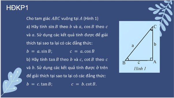 Giáo án điện tử Toán 9 Chân trời Bài 2: Hệ thức giữa cạnh và góc của tam giác vuông | PPT Toán 9 Chân trời sáng tạo