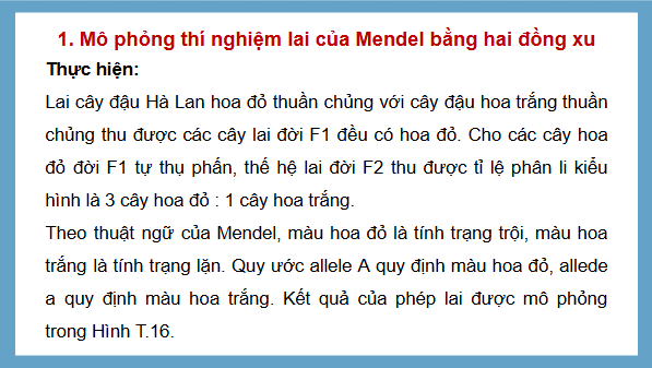 Giáo án điện tử Toán 9 Kết nối Gene trội trong các thế hệ lai | PPT Toán 9 Kết nối tri thức