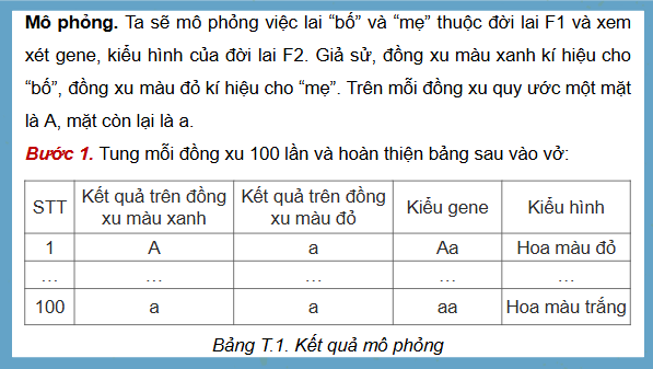 Giáo án điện tử Toán 9 Kết nối Gene trội trong các thế hệ lai | PPT Toán 9 Kết nối tri thức