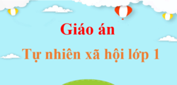 Giáo án Tự nhiên và xã hội lớp 1 (mới, chuẩn nhất) | Bài giảng điện tử Tự nhiên xã hội lớp 1