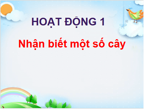 Giáo án điện tử TNXH lớp 1 Cánh diều Bài 10: Cây xung quanh em | PPT Tự nhiên và xã hội lớp 1