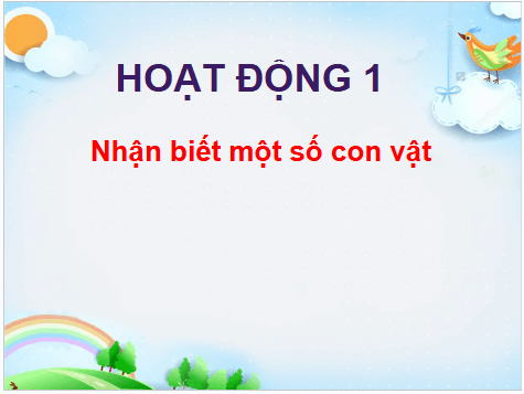 Giáo án điện tử TNXH lớp 1 Cánh diều Bài 11: Các con vật quanh em | PPT Tự nhiên và xã hội lớp 1