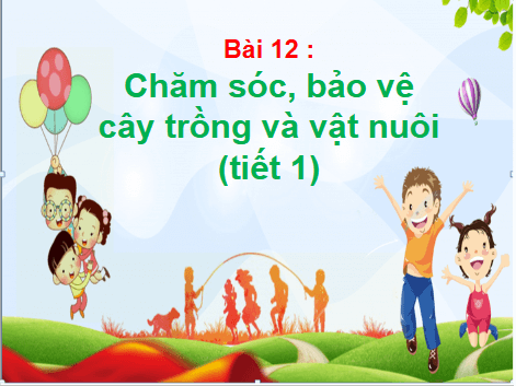 Giáo án điện tử TNXH lớp 1 Cánh diều Bài 12: Chăm sóc, bảo vệ cây trồng và vật nuôi | PPT Tự nhiên và xã hội lớp 1