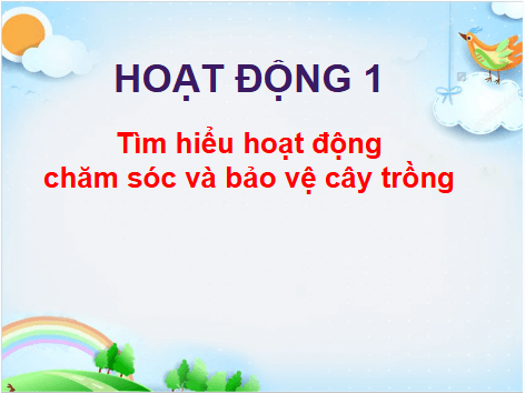 Giáo án điện tử TNXH lớp 1 Cánh diều Bài 12: Chăm sóc, bảo vệ cây trồng và vật nuôi | PPT Tự nhiên và xã hội lớp 1