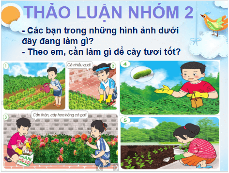 Giáo án điện tử TNXH lớp 1 Cánh diều Bài 12: Chăm sóc, bảo vệ cây trồng và vật nuôi | PPT Tự nhiên và xã hội lớp 1