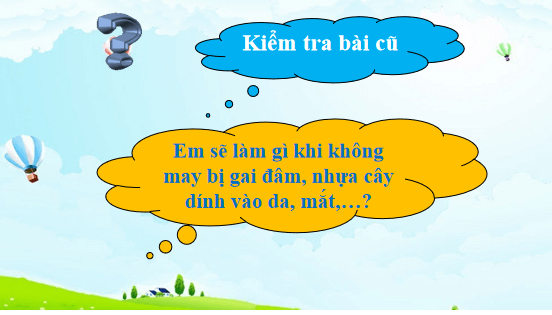 Giáo án điện tử TNXH lớp 1 Cánh diều Bài 13: Thực hành: Quan sát cây xanh và các con vật | PPT Tự nhiên và xã hội lớp 1