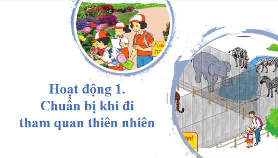 Giáo án điện tử TNXH lớp 1 Cánh diều Bài 13: Thực hành: Quan sát cây xanh và các con vật | PPT Tự nhiên và xã hội lớp 1