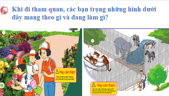 Giáo án điện tử TNXH lớp 1 Cánh diều Bài 13: Thực hành: Quan sát cây xanh và các con vật | PPT Tự nhiên và xã hội lớp 1