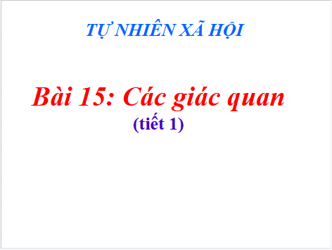 Giáo án điện tử TNXH lớp 1 Cánh diều Bài 15: Các giác quan | PPT Tự nhiên và xã hội lớp 1