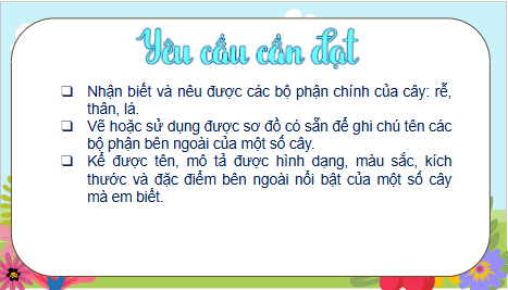 Giáo án điện tử TNXH lớp 1 Kết nối tri thức Bài 15: Cây xung quanh em | PPT Tự nhiên và xã hội lớp 1