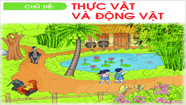 Giáo án điện tử TNXH lớp 1 Chân trời sáng tạo Bài 16: Cây xung quanh em | PPT Tự nhiên và xã hội lớp 1