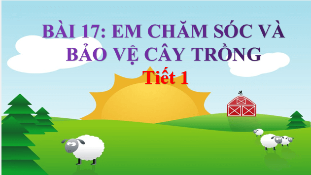 Giáo án điện tử TNXH lớp 1 Chân trời sáng tạo Bài 17: Em chăm sóc và bảo vệ cây trồng | PPT Tự nhiên và xã hội lớp 1