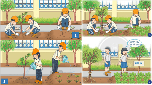 Giáo án điện tử TNXH lớp 1 Chân trời sáng tạo Bài 17: Em chăm sóc và bảo vệ cây trồng | PPT Tự nhiên và xã hội lớp 1
