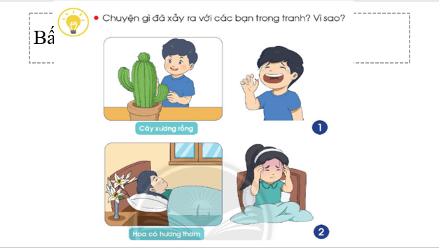 Giáo án điện tử TNXH lớp 1 Chân trời sáng tạo Bài 17: Em chăm sóc và bảo vệ cây trồng | PPT Tự nhiên và xã hội lớp 1