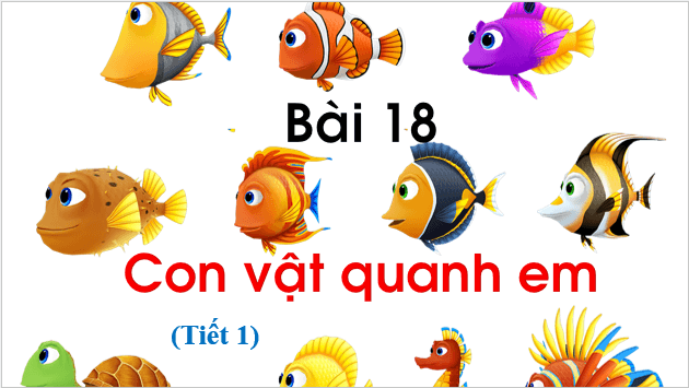 Giáo án điện tử TNXH lớp 1 Chân trời sáng tạo Bài 18: Con vật quanh em | PPT Tự nhiên và xã hội lớp 1