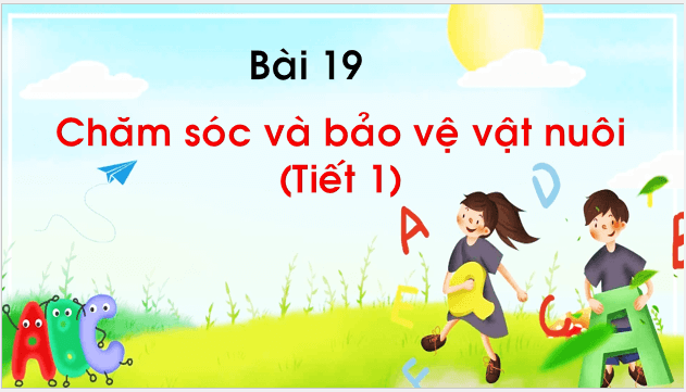 Giáo án điện tử TNXH lớp 1 Chân trời sáng tạo Bài 19: Chăm sóc và bảo vệ vật nuôi | PPT Tự nhiên và xã hội lớp 1