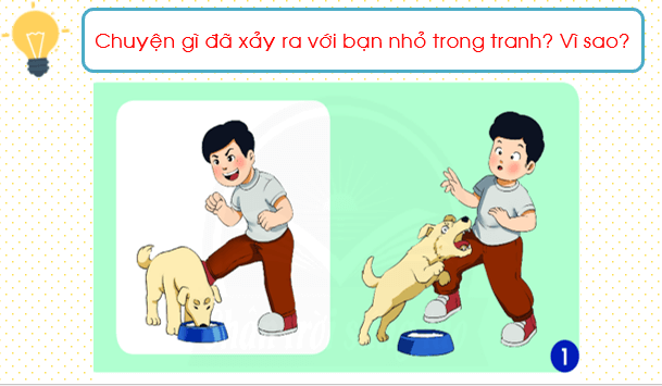 Giáo án điện tử TNXH lớp 1 Chân trời sáng tạo Bài 20: Giữ an toàn với một số con vật | PPT Tự nhiên và xã hội lớp 1