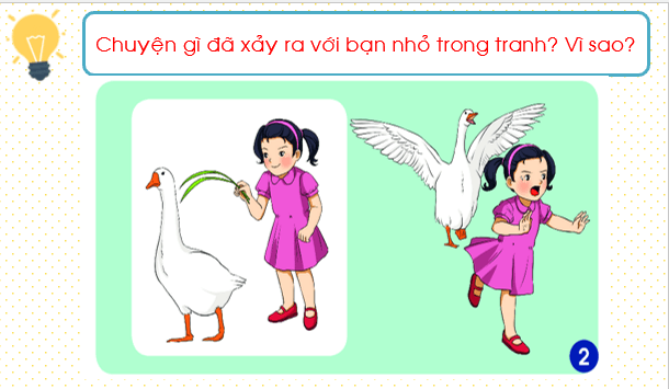 Giáo án điện tử TNXH lớp 1 Chân trời sáng tạo Bài 20: Giữ an toàn với một số con vật | PPT Tự nhiên và xã hội lớp 1
